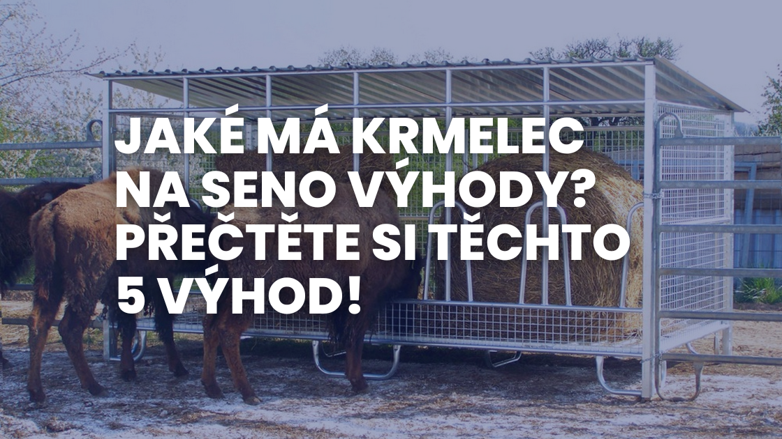 Jaké má krmelec na seno výhody? Přečtěte si těchto 5 výhod!