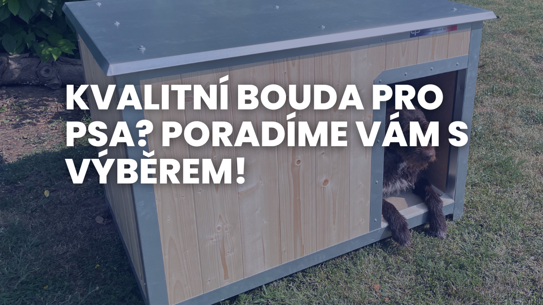 Kvalitní bouda pro psa? Poradíme vám s výběrem!