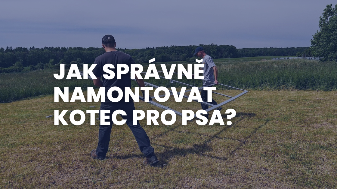 Jak správně namontovat kotec pro psa?